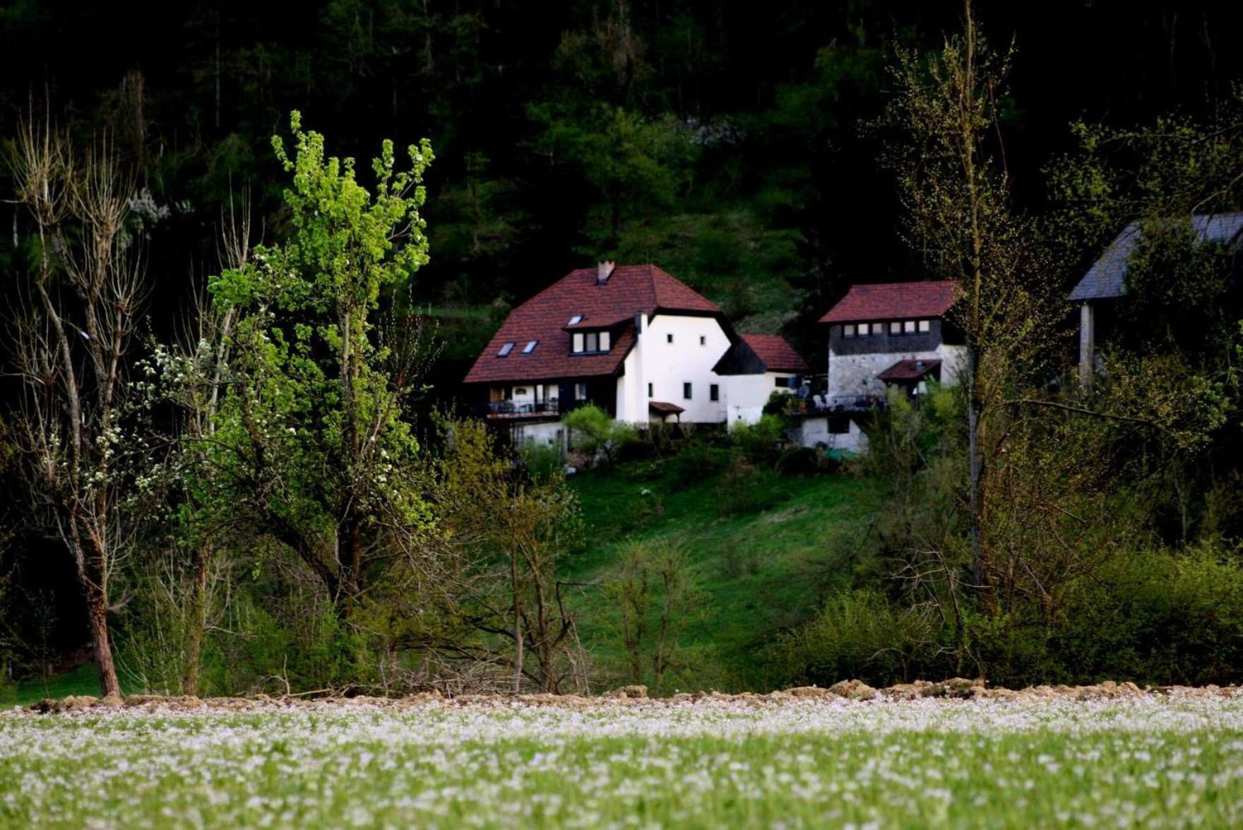 Apartment Sefic Planina  Εξωτερικό φωτογραφία