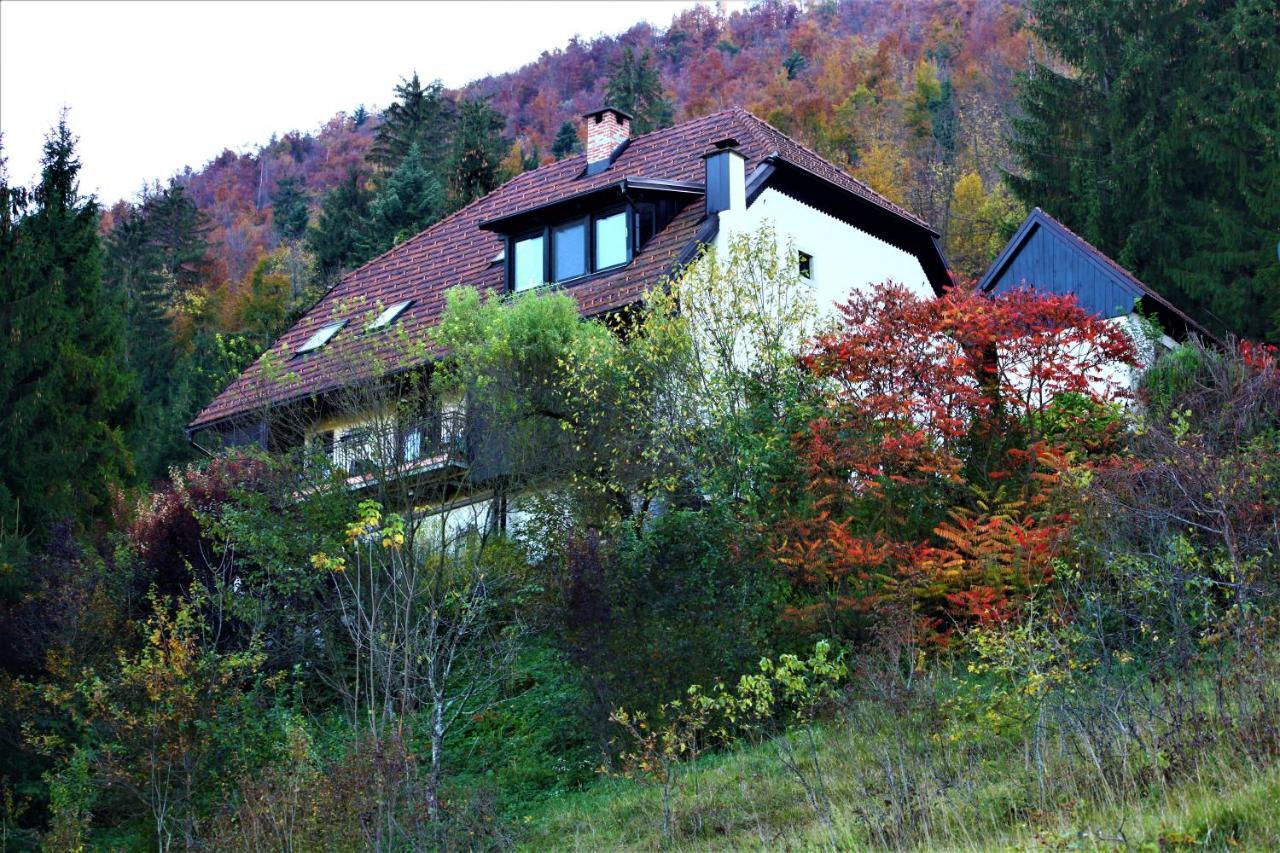 Apartment Sefic Planina  Εξωτερικό φωτογραφία